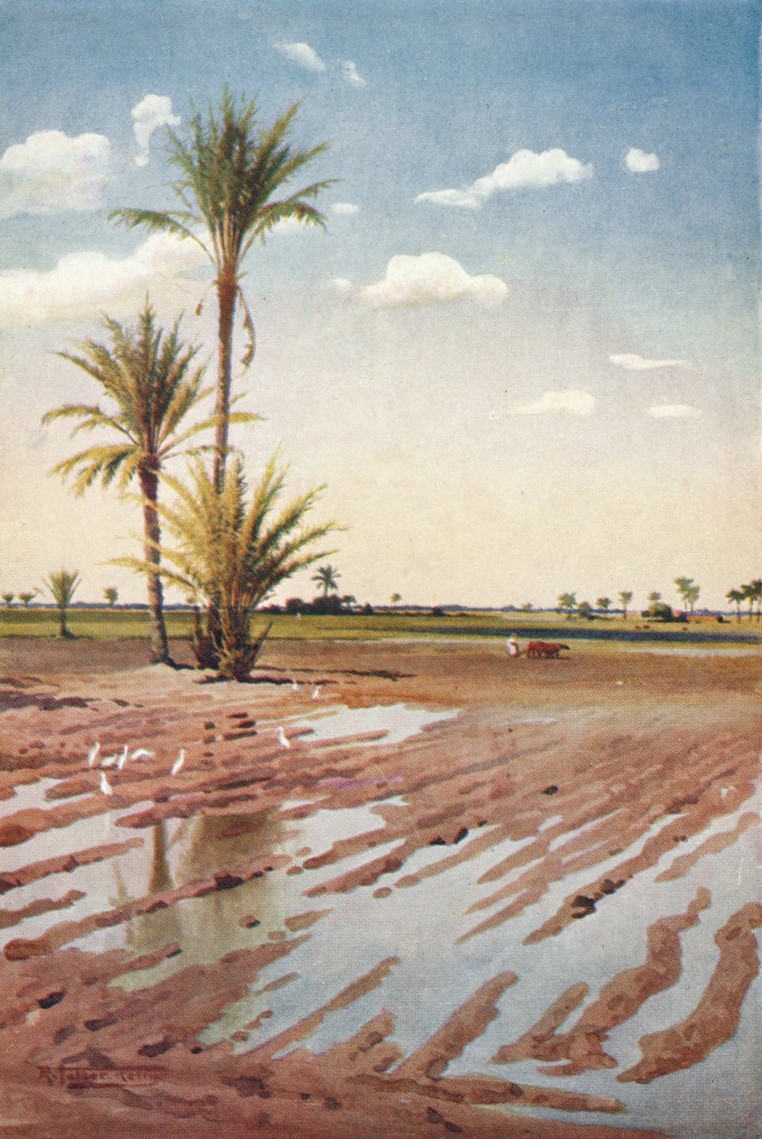 एक सिंचित क्षेत्र, c1880, 1904 द्वारा रॉबर्ट जॉर्ज टैलबोट केली