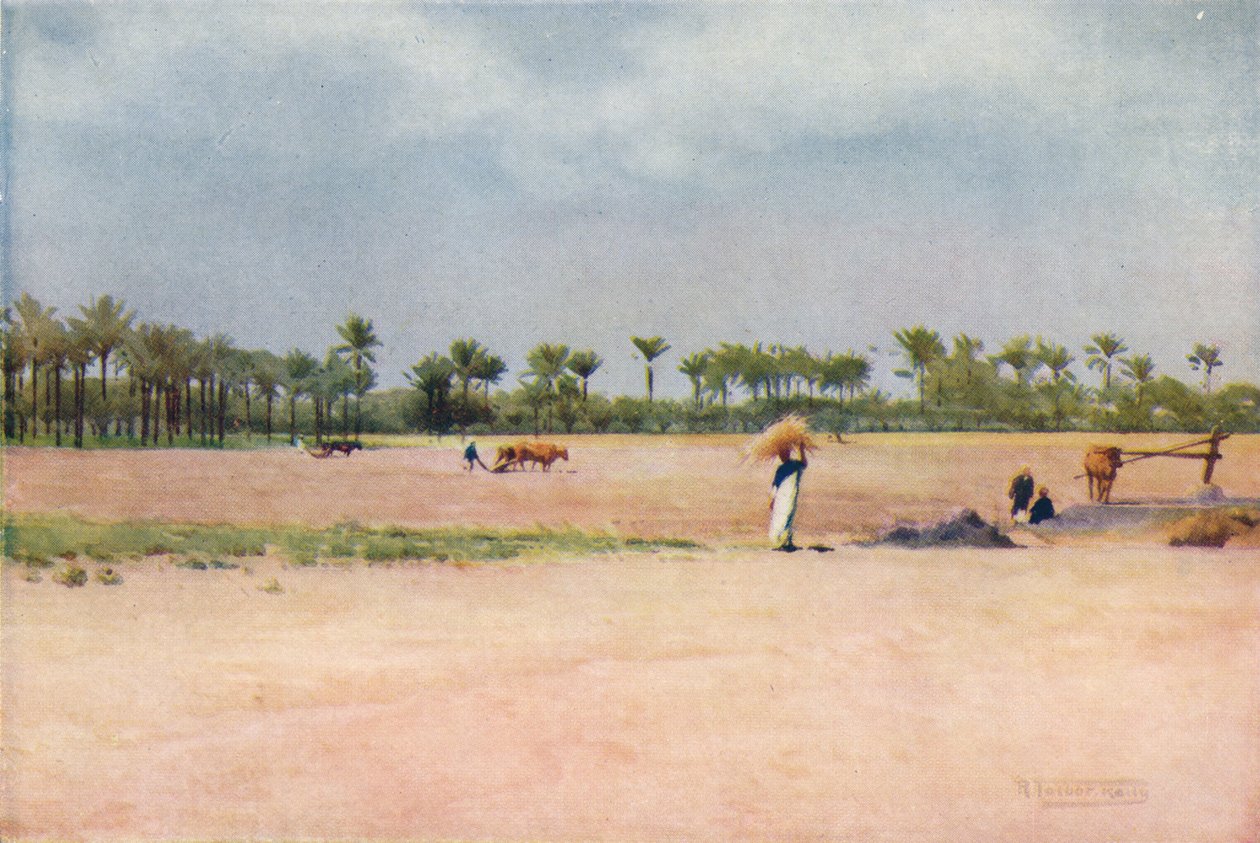 एसबेट-एल-इकिड - गोशेन की भूमि, c1880, 1904 द्वारा रॉबर्ट जॉर्ज टैलबोट केली