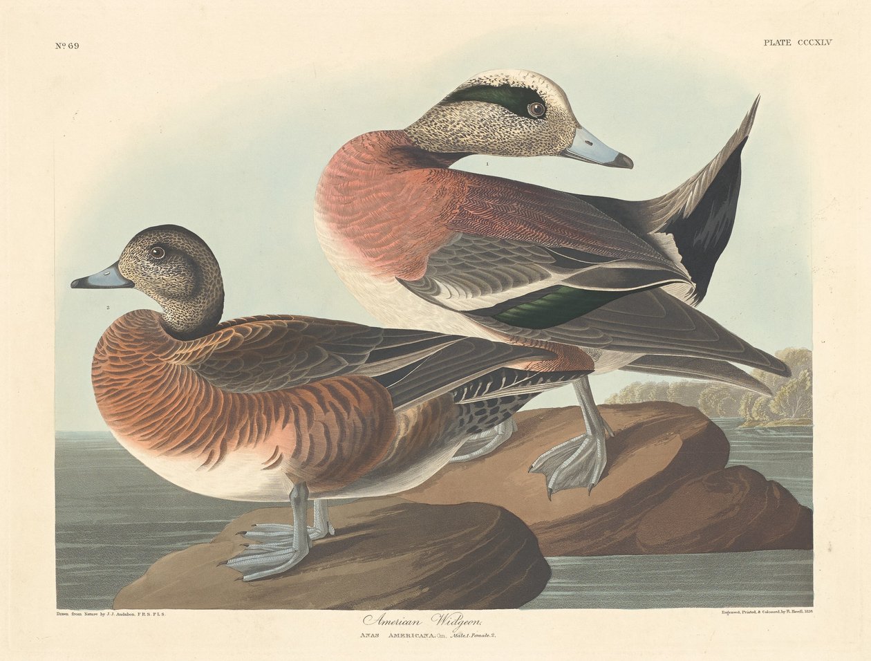 अमेरिकन विजन, 1836। द्वारा रॉबर्ट हेवेल