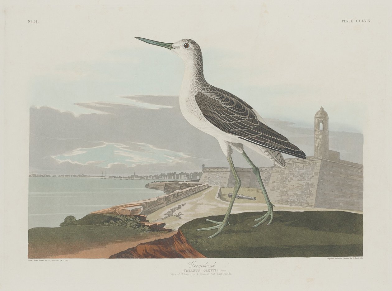 ग्रीनशैंक, 1835। द्वारा रॉबर्ट हेवेल