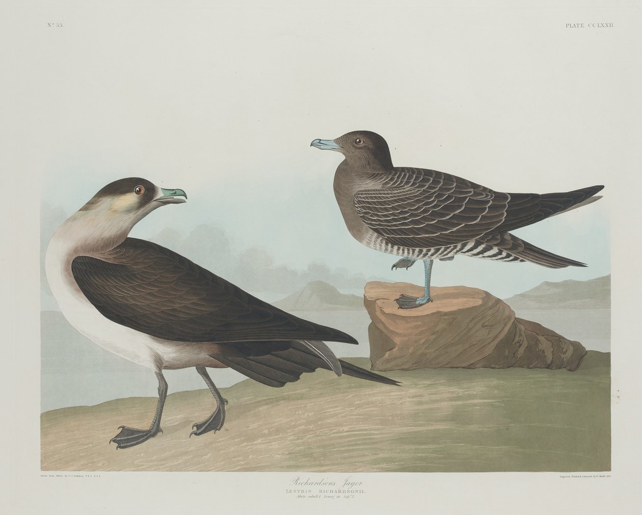 रिचर्डसन जैगर, 1835। द्वारा रॉबर्ट हेवेल