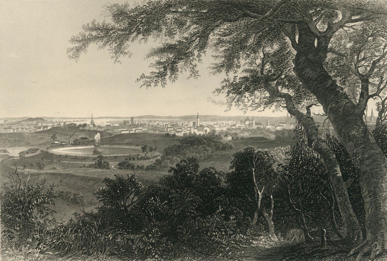 ड्र्यूड हिल पार्क से बाल्टीमोर शहर, 1874। द्वारा रॉबर्ट हिंसेलवुड
