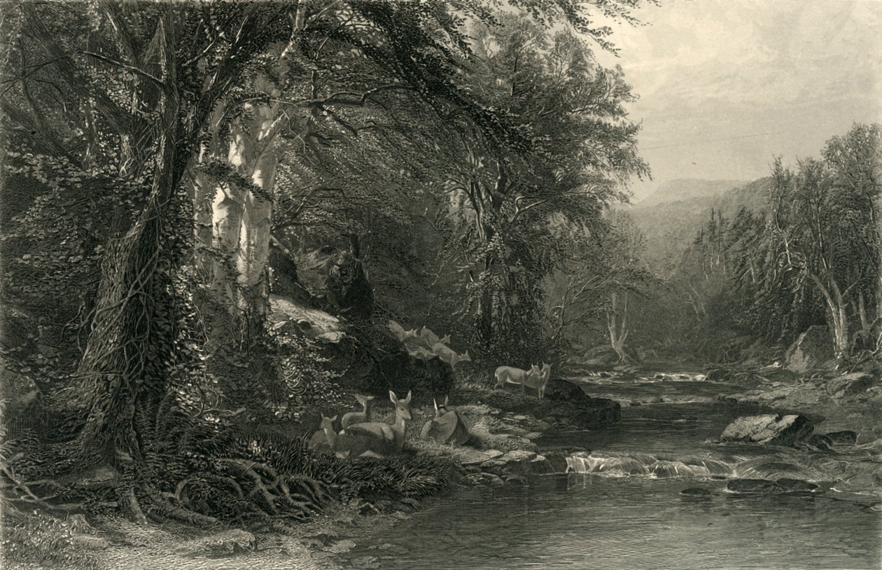 द एडिरोंडैक वुड्स, 1874। द्वारा रॉबर्ट हिंसेलवुड