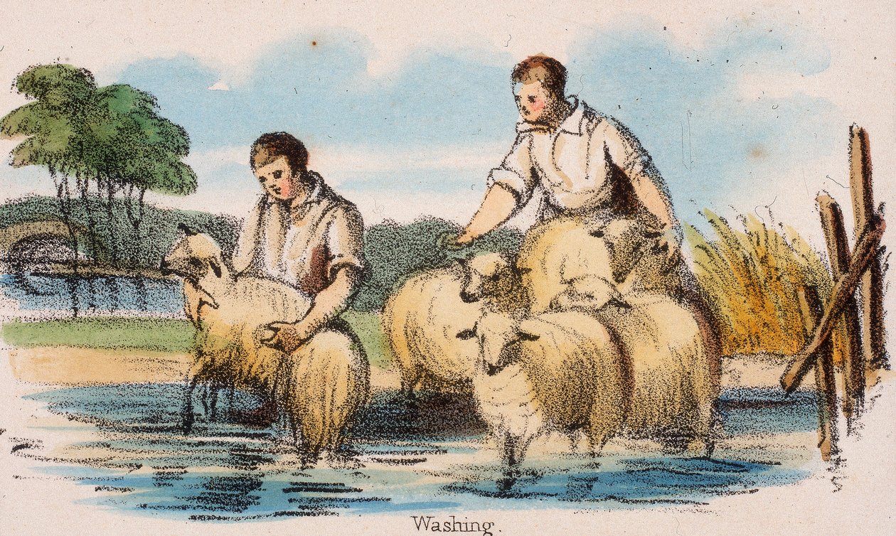 धुलाई, c1845 द्वारा रॉबर्ट केंट थॉमस