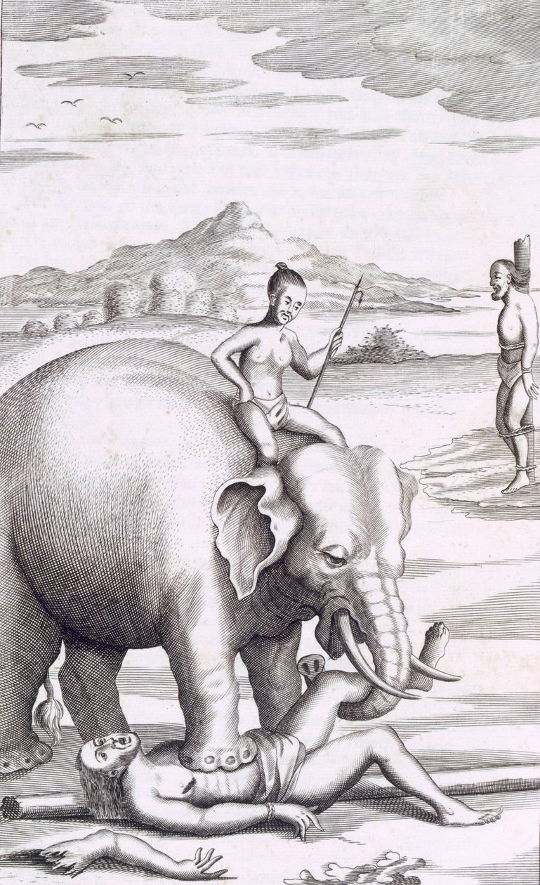 एक हाथी, पब द्वारा निष्पादन। 1681. द्वारा रॉबर्ट नॉक्स