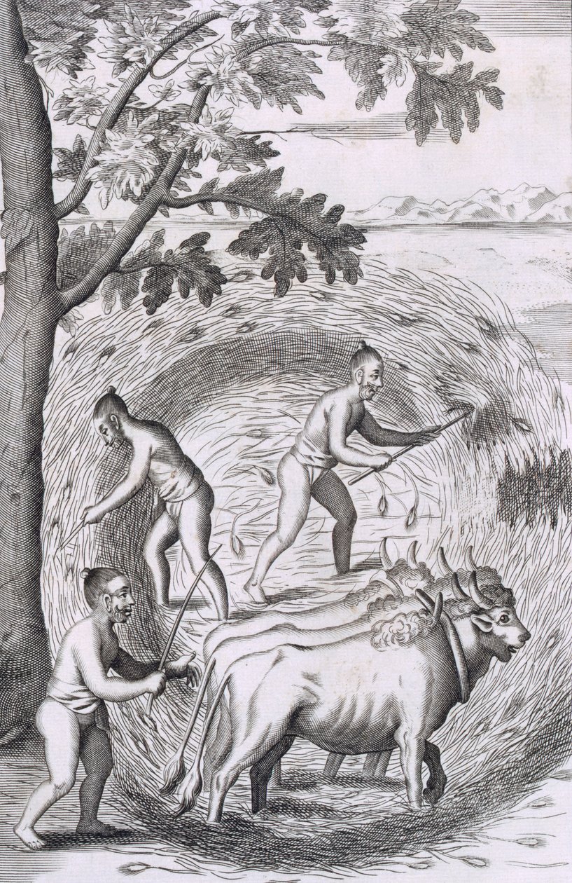 द्वीप सीलोन के एक ऐतिहासिक संबंध, पब से, अपने चावल को फैलाने का तरीका। 1681 उत्कीर्णन द्वारा रॉबर्ट नॉक्स