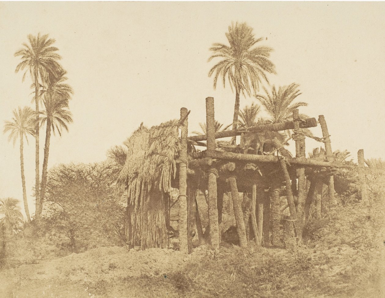 न्युबियन सक्कीह, या वाटर व्हील, सीए। 1856. द्वारा रॉबर्ट मरे।