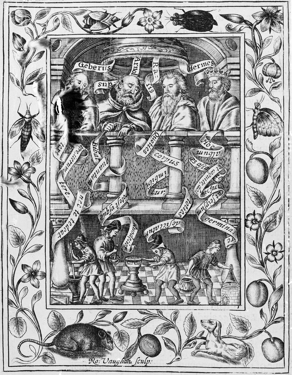 महान रसायनविदों ने थिएट्रम केमिकम ब्रिटानिकम, 1652 से प्रयोगशाला में काम करने की प्रेरणा दी द्वारा रॉबर्ट वॉन