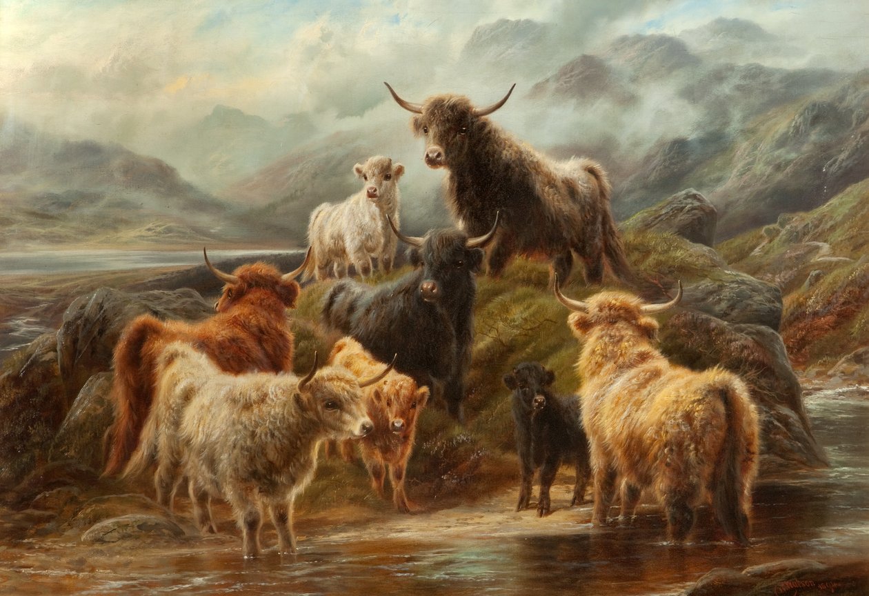 हाइलैंड कैटल, 1894 द्वारा रॉबर्ट वाटसन