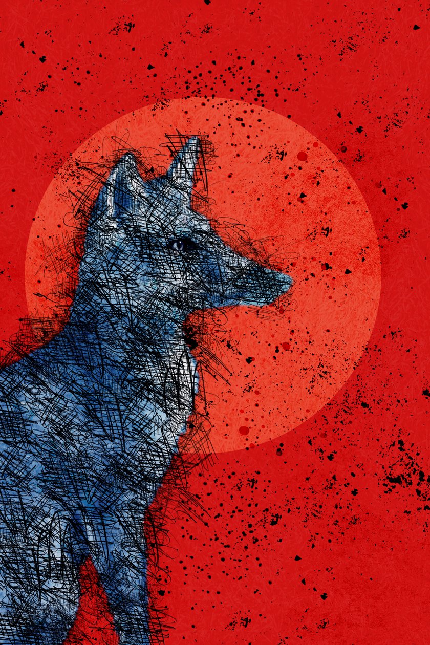 ब्लड मून फ़ॉक्स, 2022 (डिजिटल) द्वारा रोबर्टा मरे