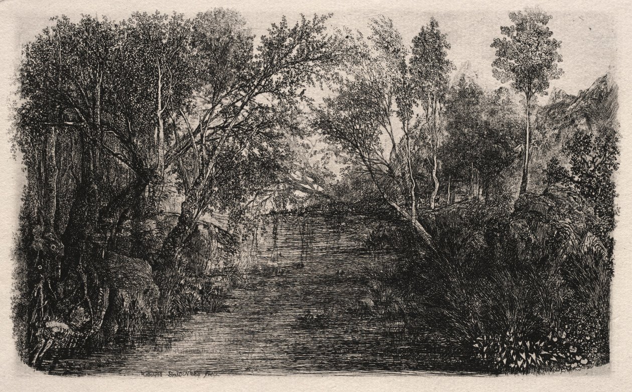 द स्ट्रीम, 1880। द्वारा रोडोलफे ब्रेज़िन