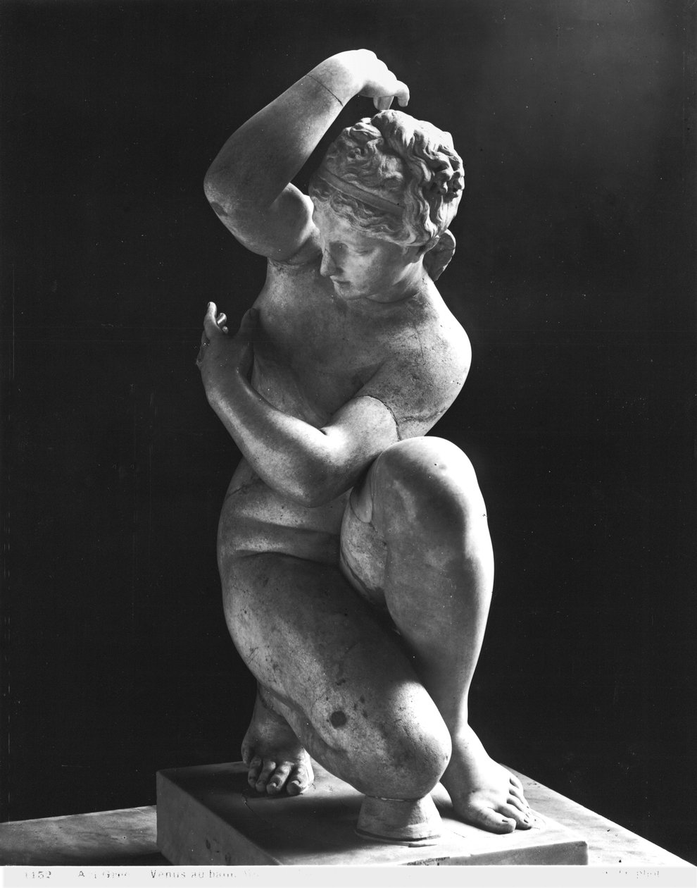 क्राउचिंग वीनस, एक तीसरी शताब्दी ईसा पूर्व ग्रीक मूल (संगमरमर) की प्रति (191002, 191003 भी देखें) द्वारा उपन्यास