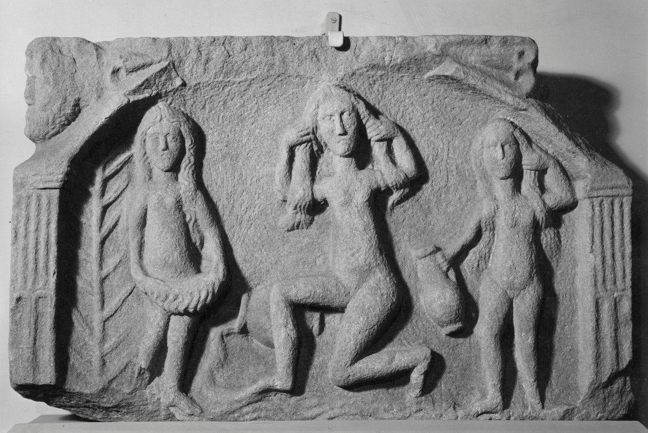 शुक्र और दो अप्सराओं की राहत द्वारा उपन्यास