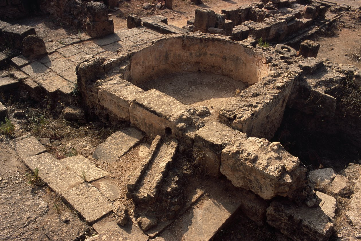 जलाशय द्वारा उपन्यास