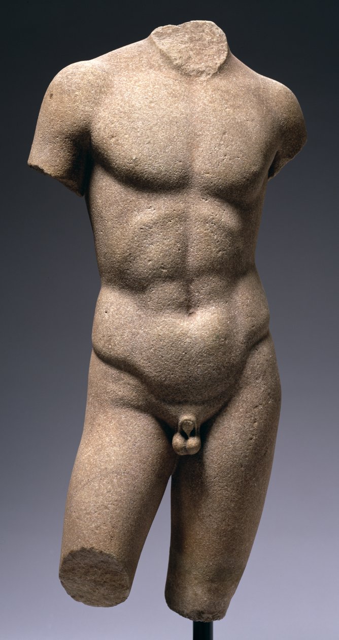 एक नग्न युवा (संगमरमर) का धड़ (158546 भी देखें) द्वारा उपन्यास