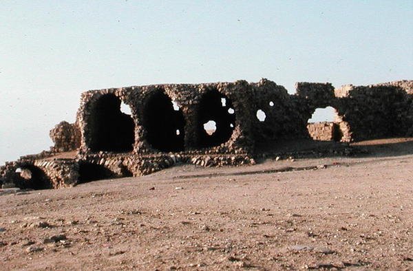 रोमन एक्वाडक्ट के खंडहर द्वारा उपन्यास