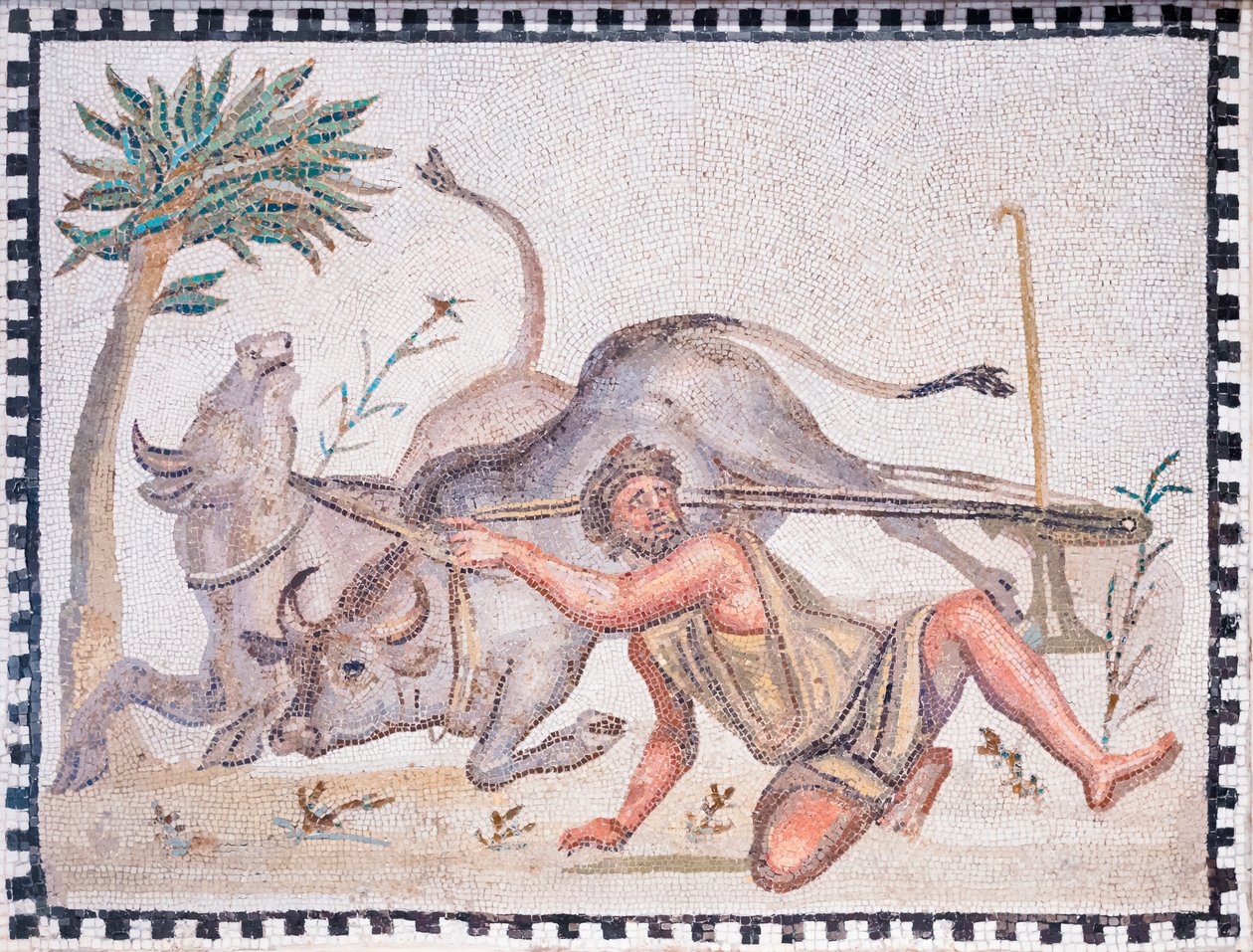  द्वारा उपन्यास