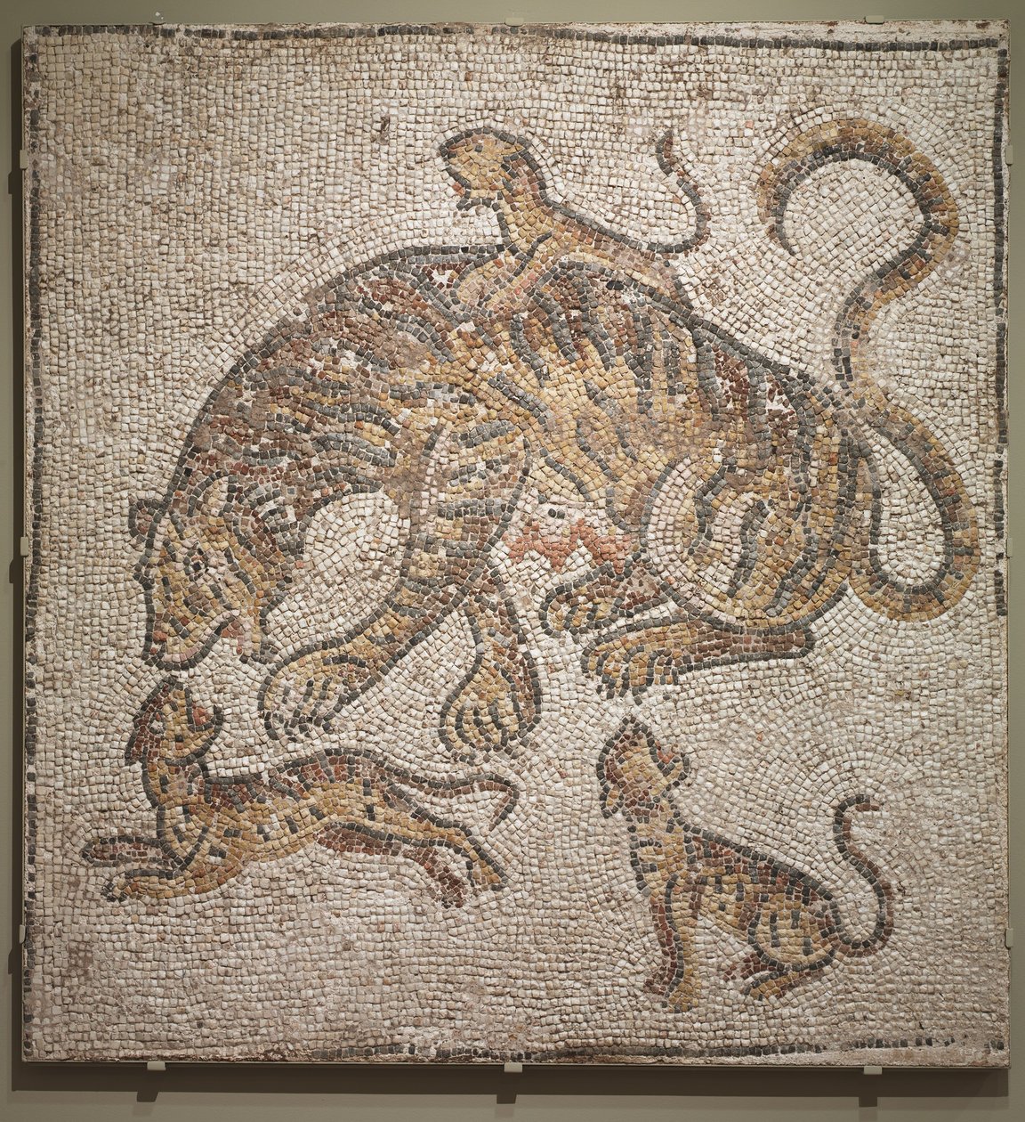 बाघिन और शावक, c.300 ई द्वारा उपन्यास