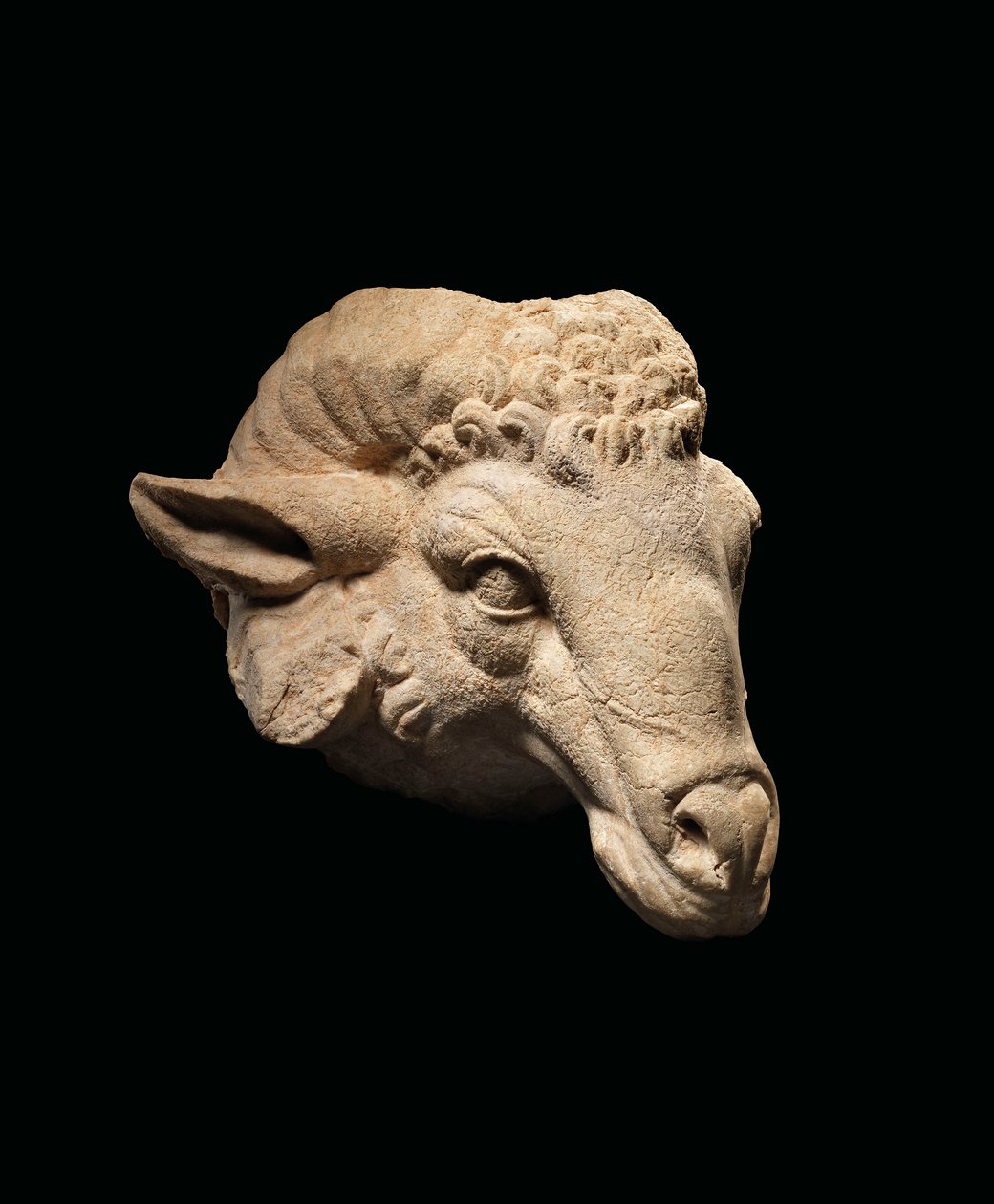 राम के मुखिया, c.1st शताब्दी ईसा पूर्व - पहली शताब्दी ईस्वी (संगमरमर) द्वारा रोमन रोमन