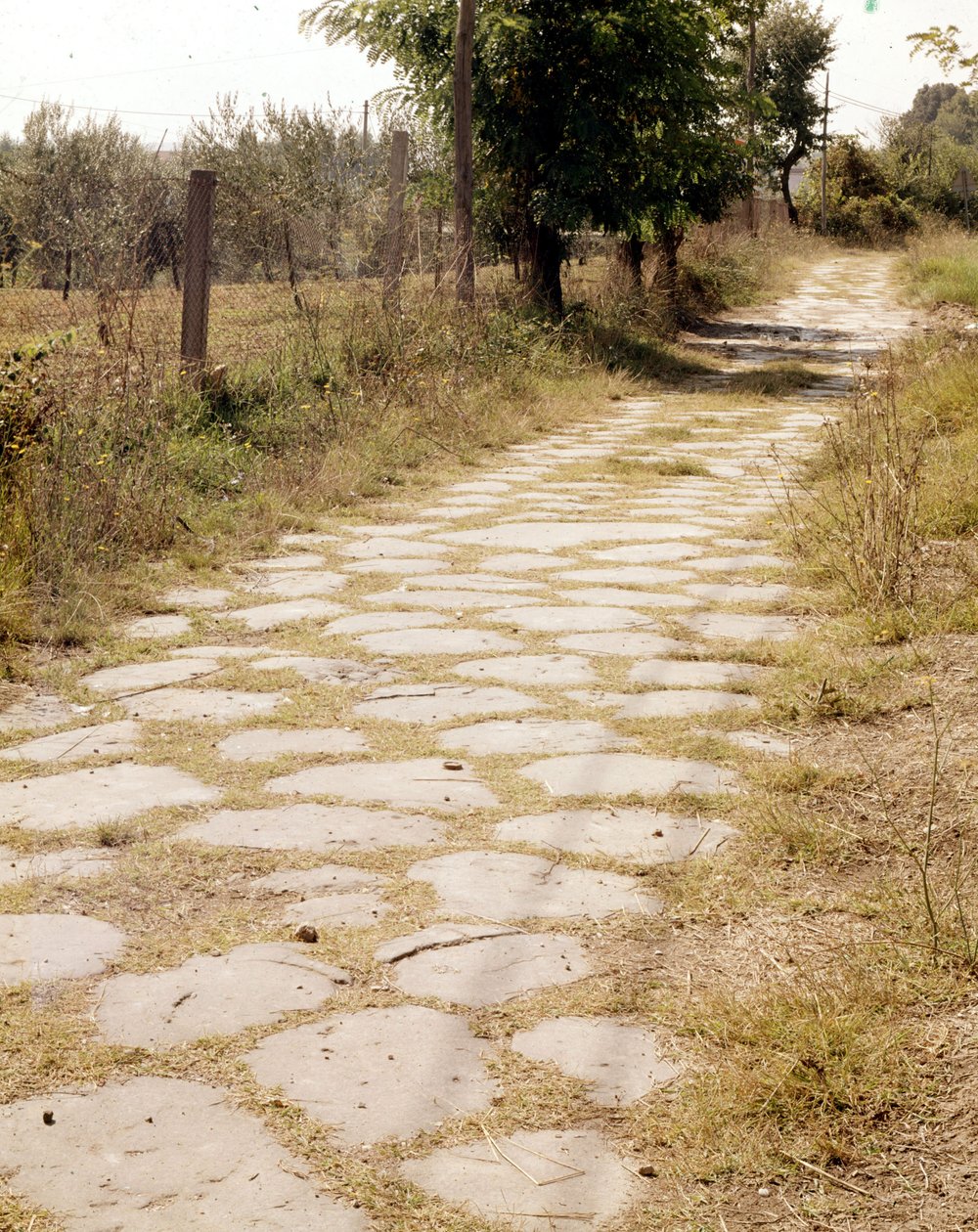 फ्लमिनिया, रोम के माध्यम से। द्वारा रोमन रोमन