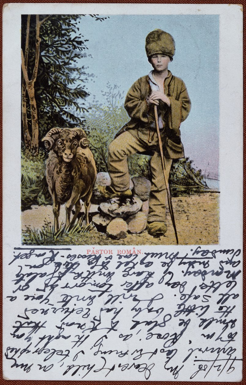 एक रोमानियाई चरवाहा लड़का, c.1906 का चित्रण पोस्टकार्ड द्वारा रोमानियाई स्कूल