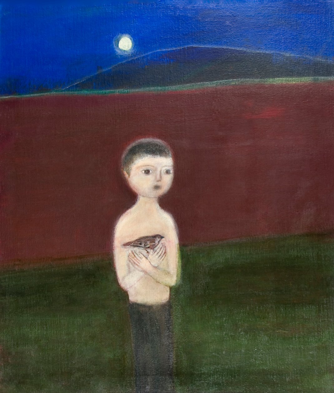 बॉय एंड स्पैरो, 2011 द्वारा Roya Salari