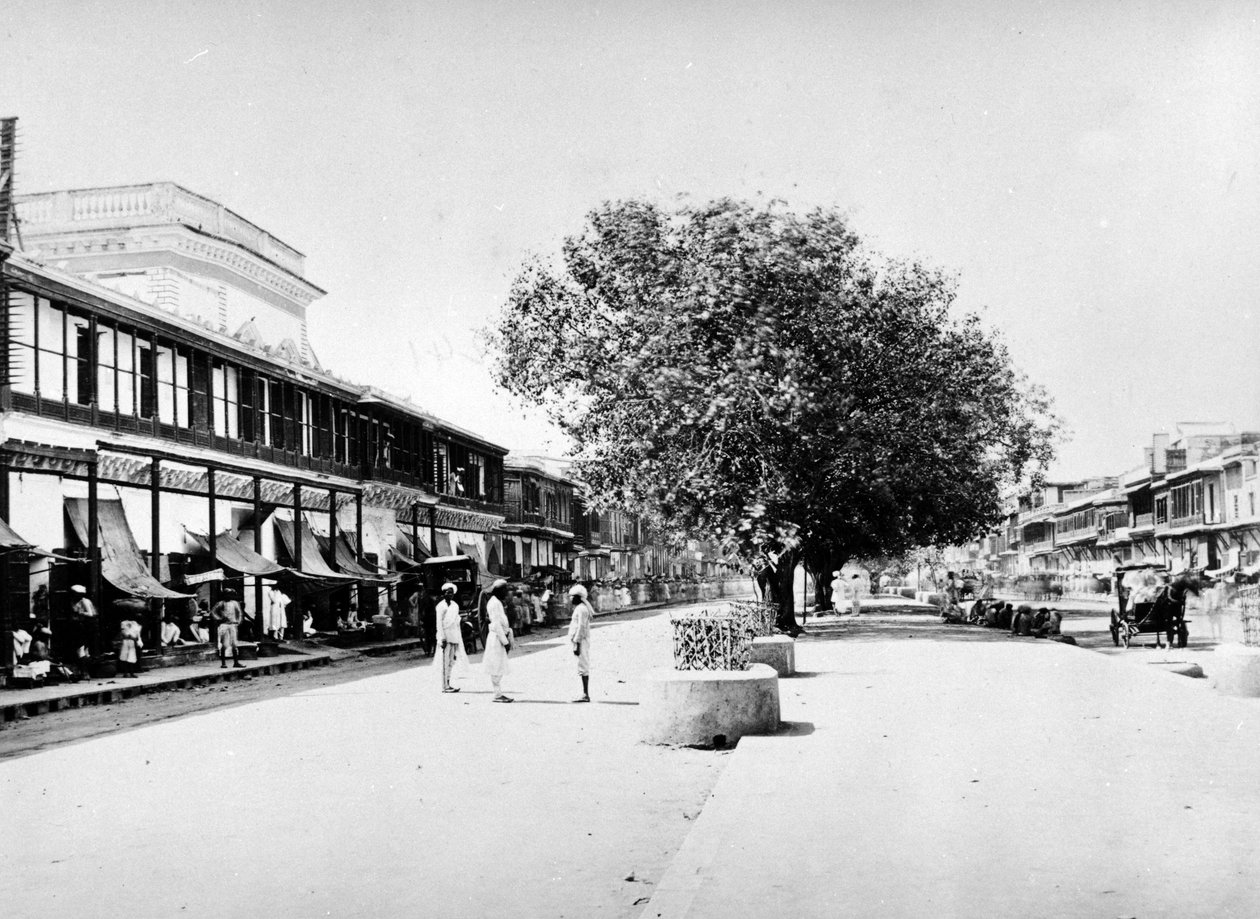 चांदनी चौक, दिल्ली, c.1863-7 द्वारा एस। और शेफर्ड, सी। बॉर्न