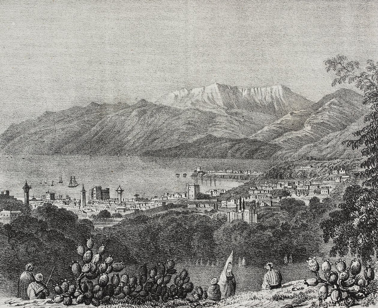  द्वारा सल्वातोर पुगलिया
