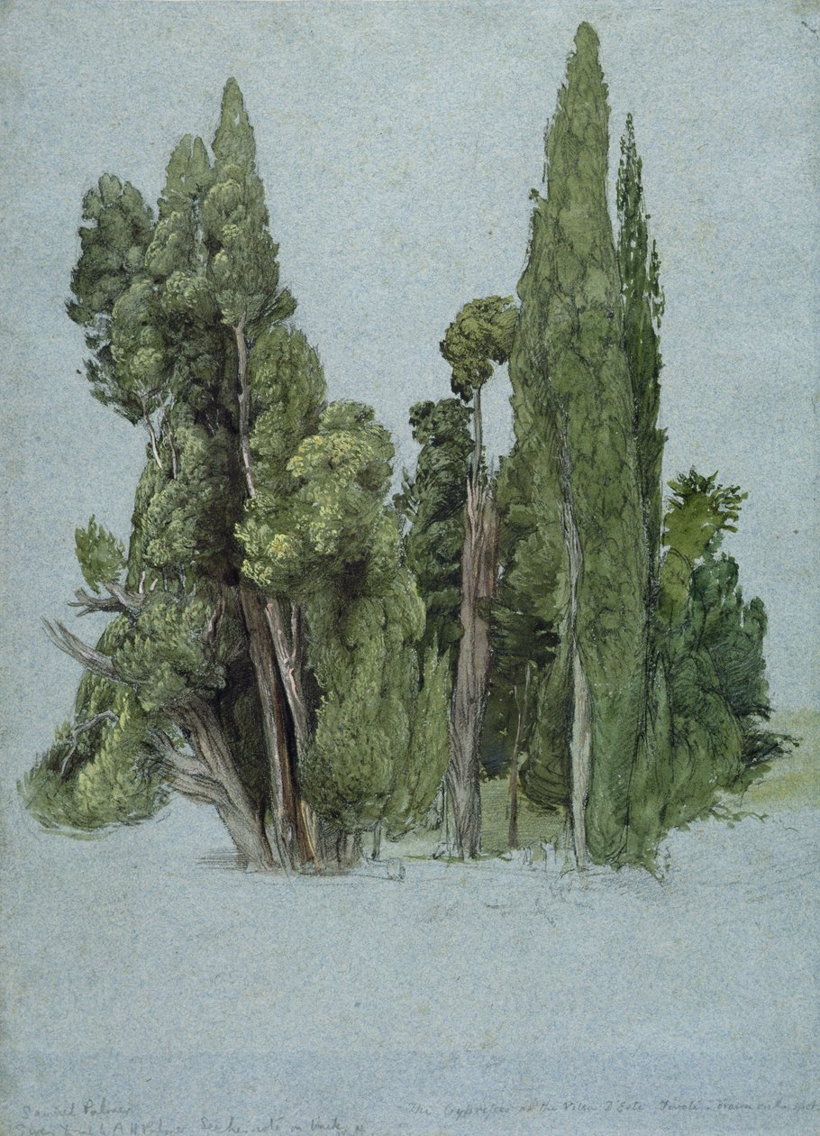 विला डी&39;स्टे, टिवोली में सरू (कागज पर ग्रेफाइट के साथ wc und gouache) द्वारा सैमुअल पामर
