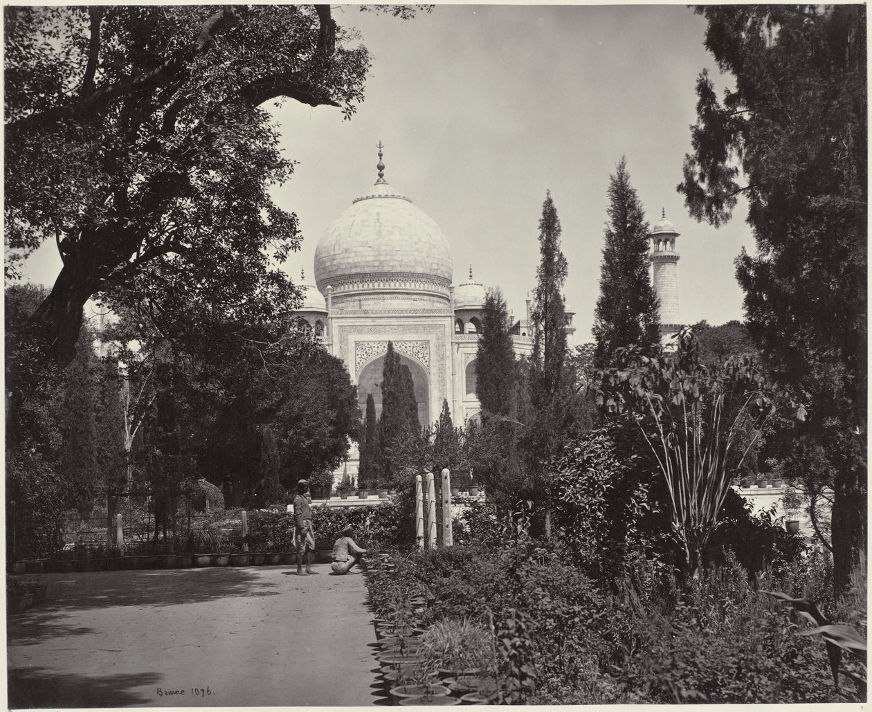  द्वारा सैमुअल बॉर्न (कलाकार द्वारा हस्ताक्षरित)