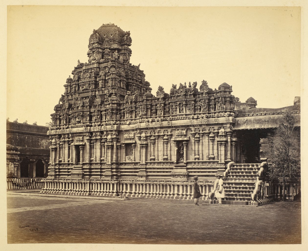  द्वारा सैमुअल बॉर्न