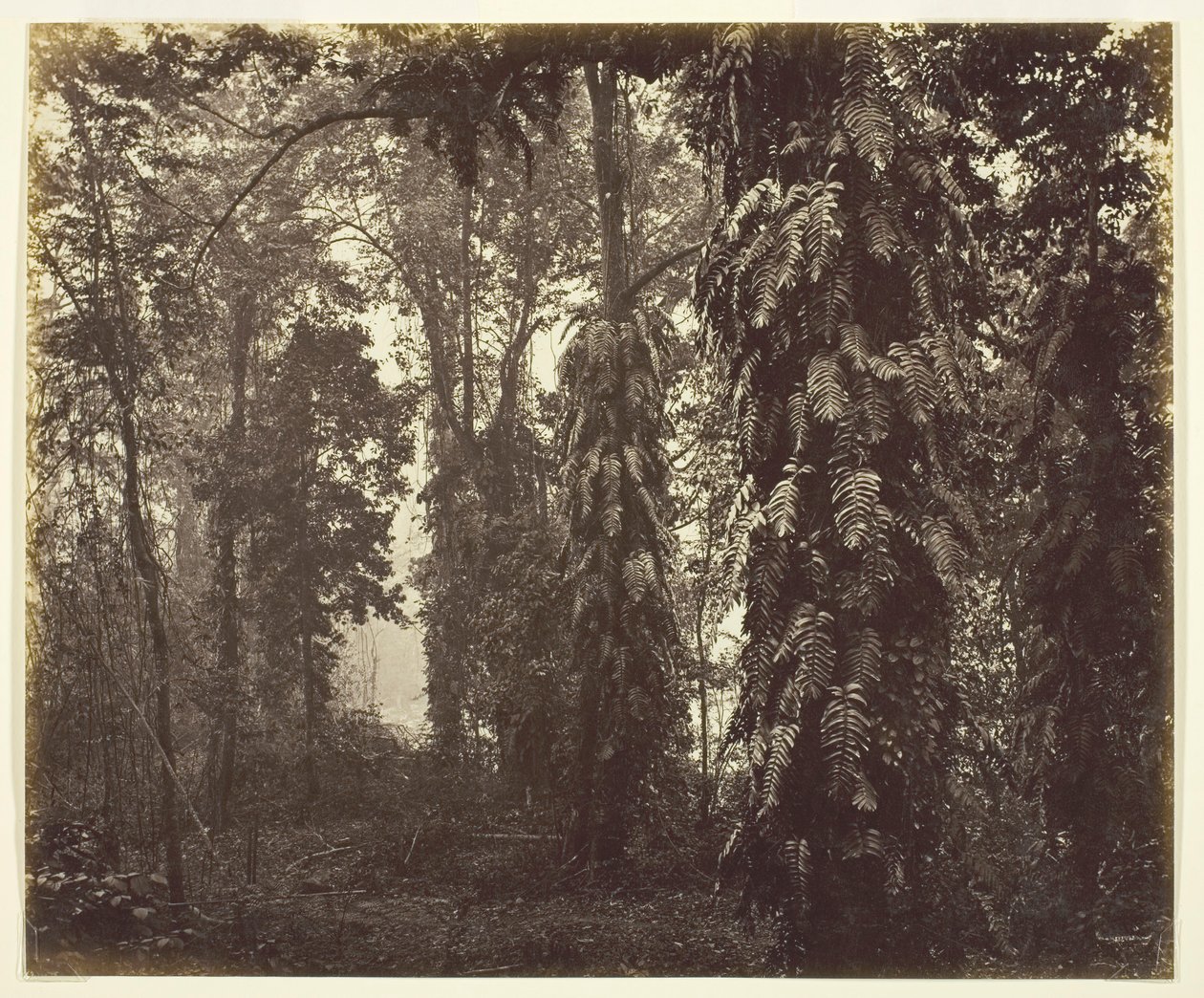 दार्जिलिंग, भारत, सी. 1865. द्वारा सैमुअल बॉर्न