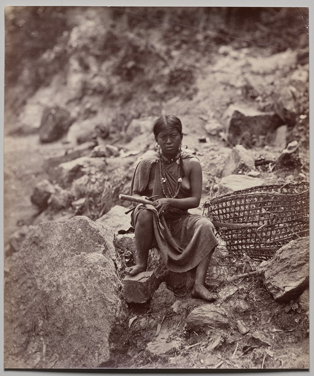  द्वारा सैमुअल बॉर्न