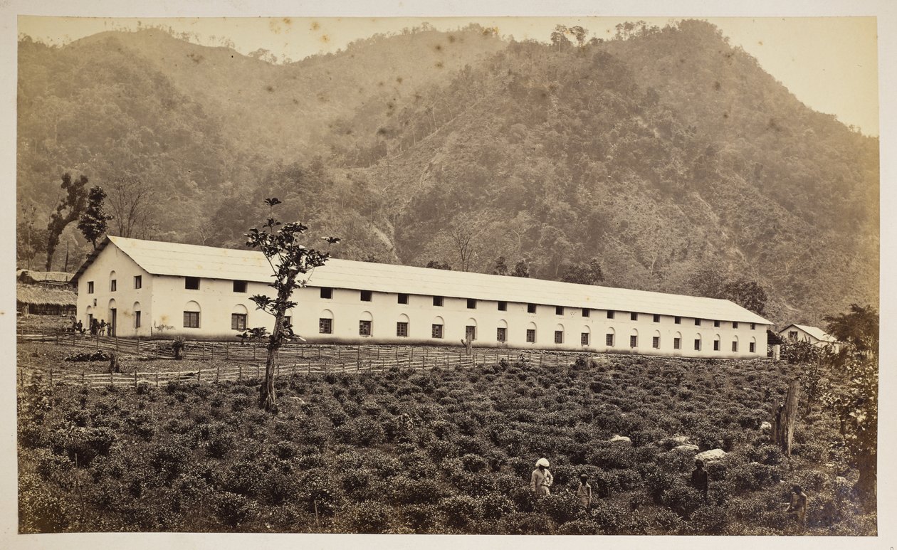  द्वारा सैमुअल बॉर्न