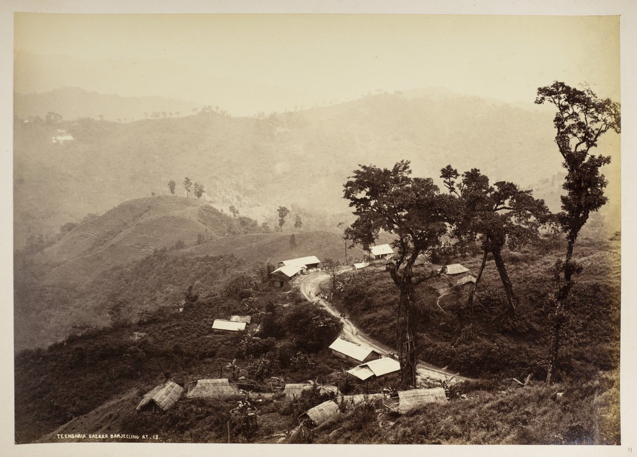  द्वारा सैमुअल बॉर्न
