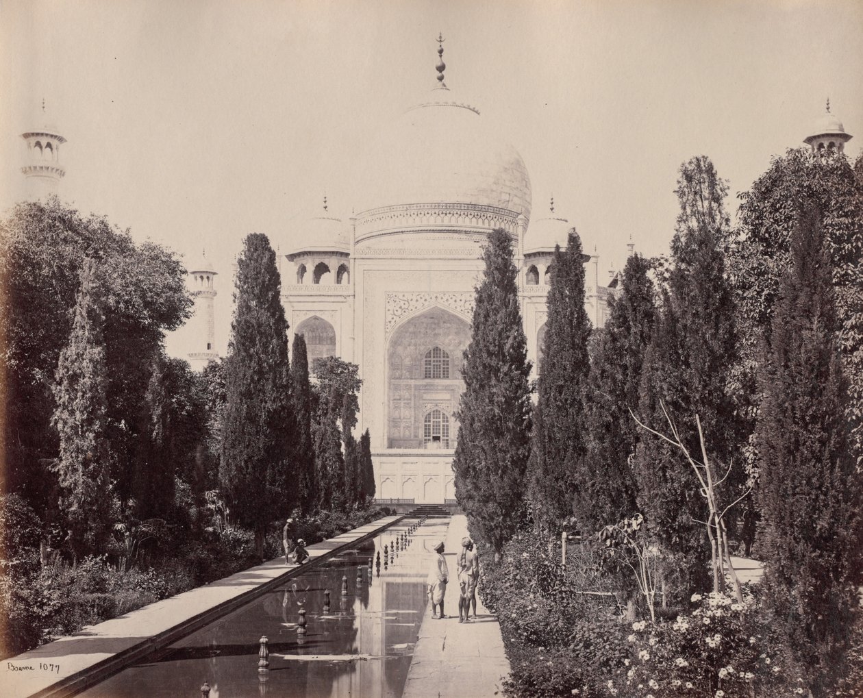 द्वारा सैमुअल बॉर्न