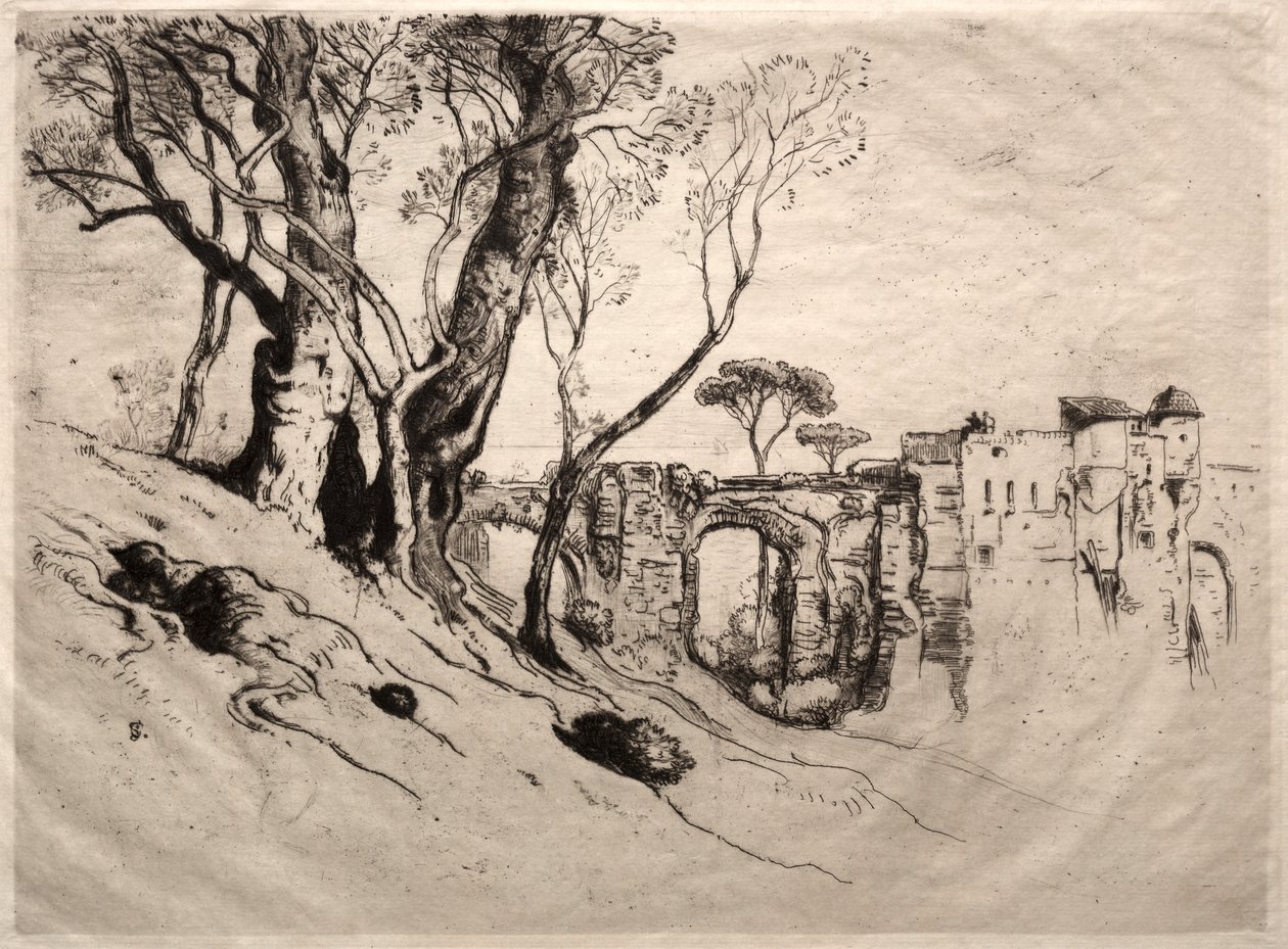 रिवेरा के ऑलिव ट्रीज़, 1884। द्वारा सैमुअल कॉलमैन