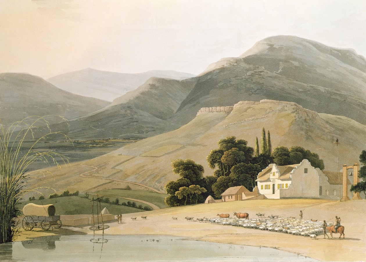 कलाकार के उत्कीर्ण, 1805 (एक्वाटिंट) द्वारा उत्कीर्ण &39;अफ्रीकन सीन्स एंड एनिमल्स&39; से एक बोर हाउस &39; द्वारा सैमुअल डेनियल