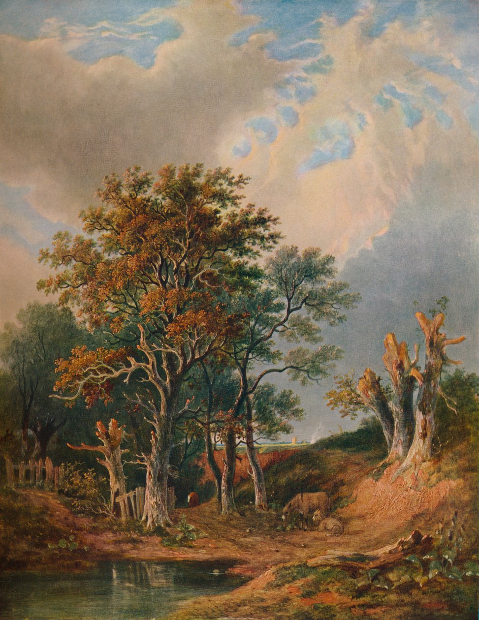 लैंडस्केप, 1847 द्वारा सैमुअल डेविड कोलकट
