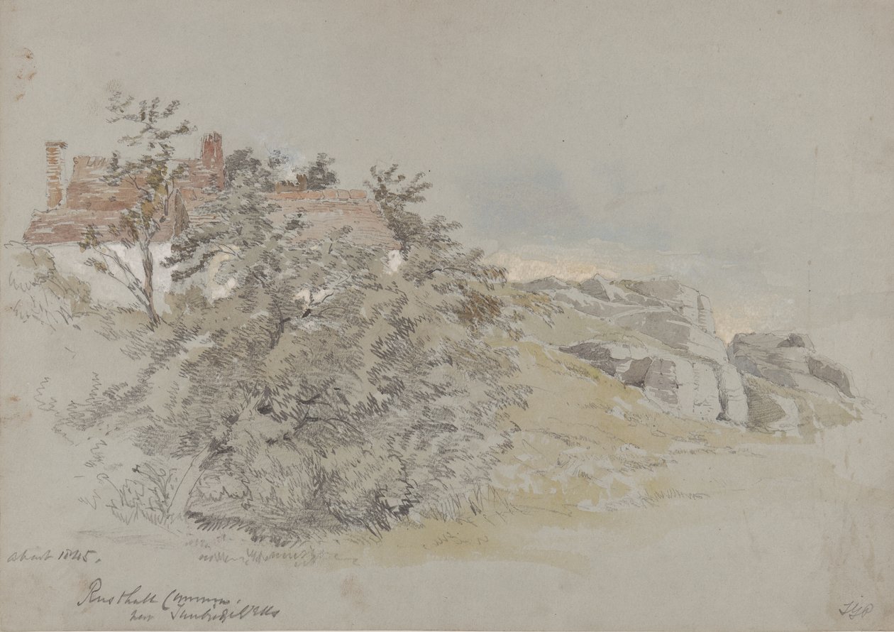 रूस्तहॉल कॉमन, टुनब्रिज वेल्स के पास, c.1845 (कागज पर पेंसिल, wc और gouache) द्वारा सैमुअल गिलेस्पी प्राउट