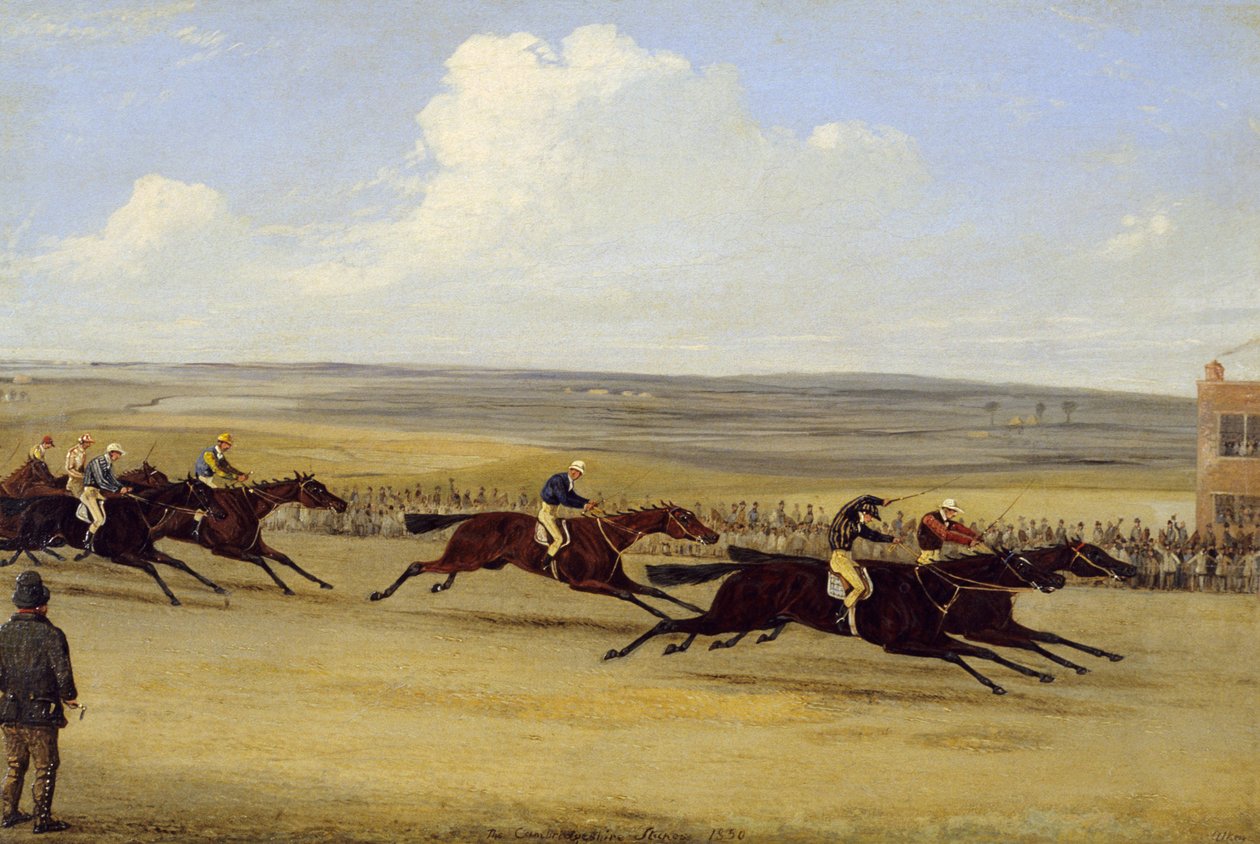 1850 कैंब्रिजशायर स्टेक्स: द फिनिश (कैनवास पर तेल) (266406 भी देखें) द्वारा सैमुअल हेनरी अल्केन