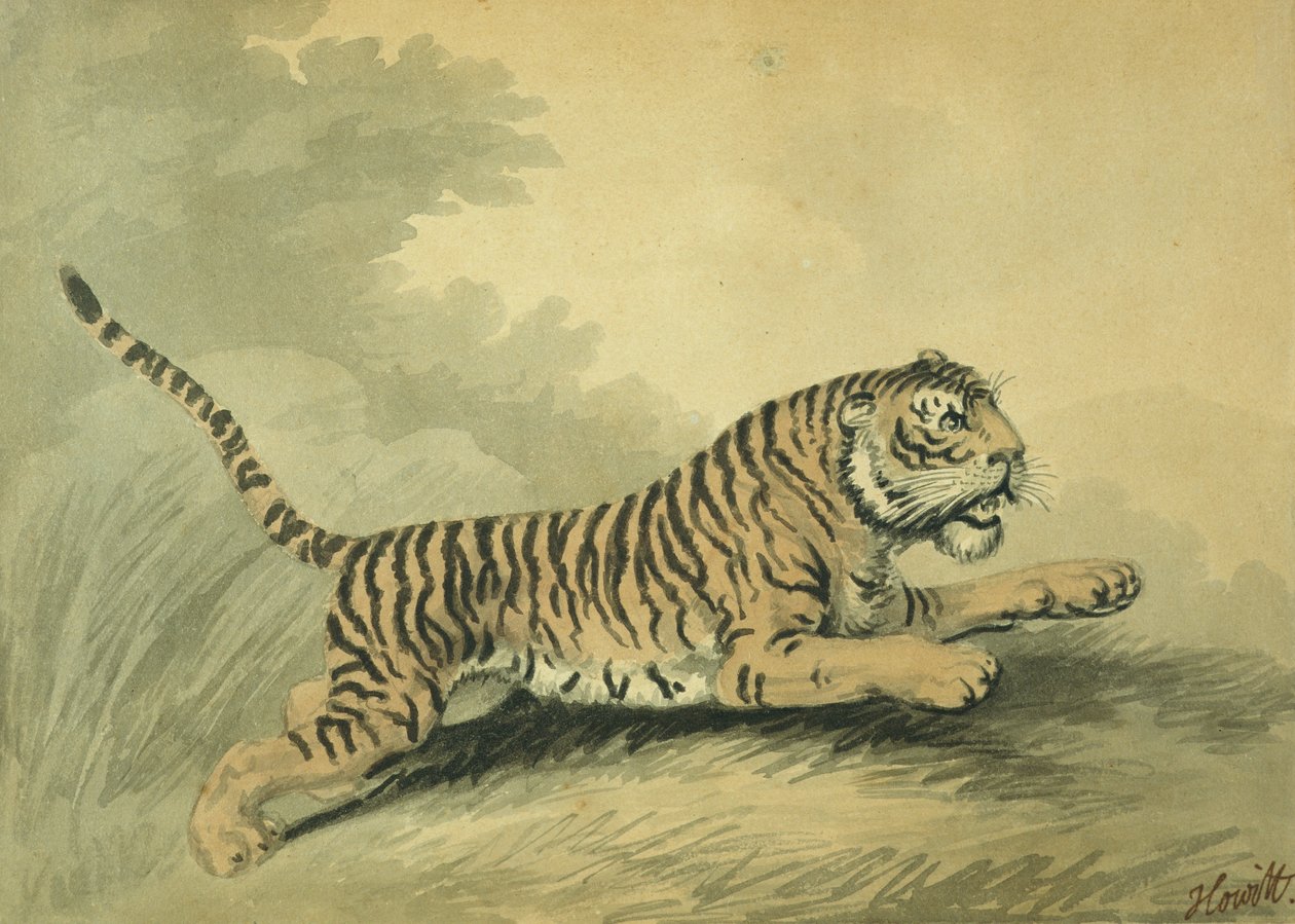 एक बाघिन दाईं ओर छलांग लगाते हुए 1807 द्वारा सैमुअल हॉविट