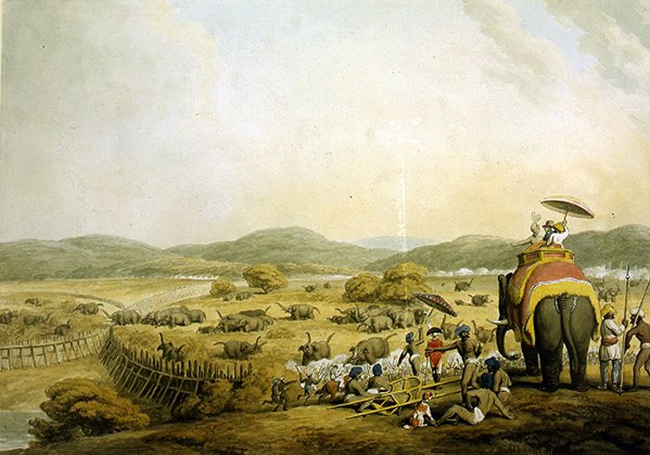 हाथियों को केद्दा में ले जाना (कागज पर पानी के रंग का) द्वारा सैमुअल हॉविट