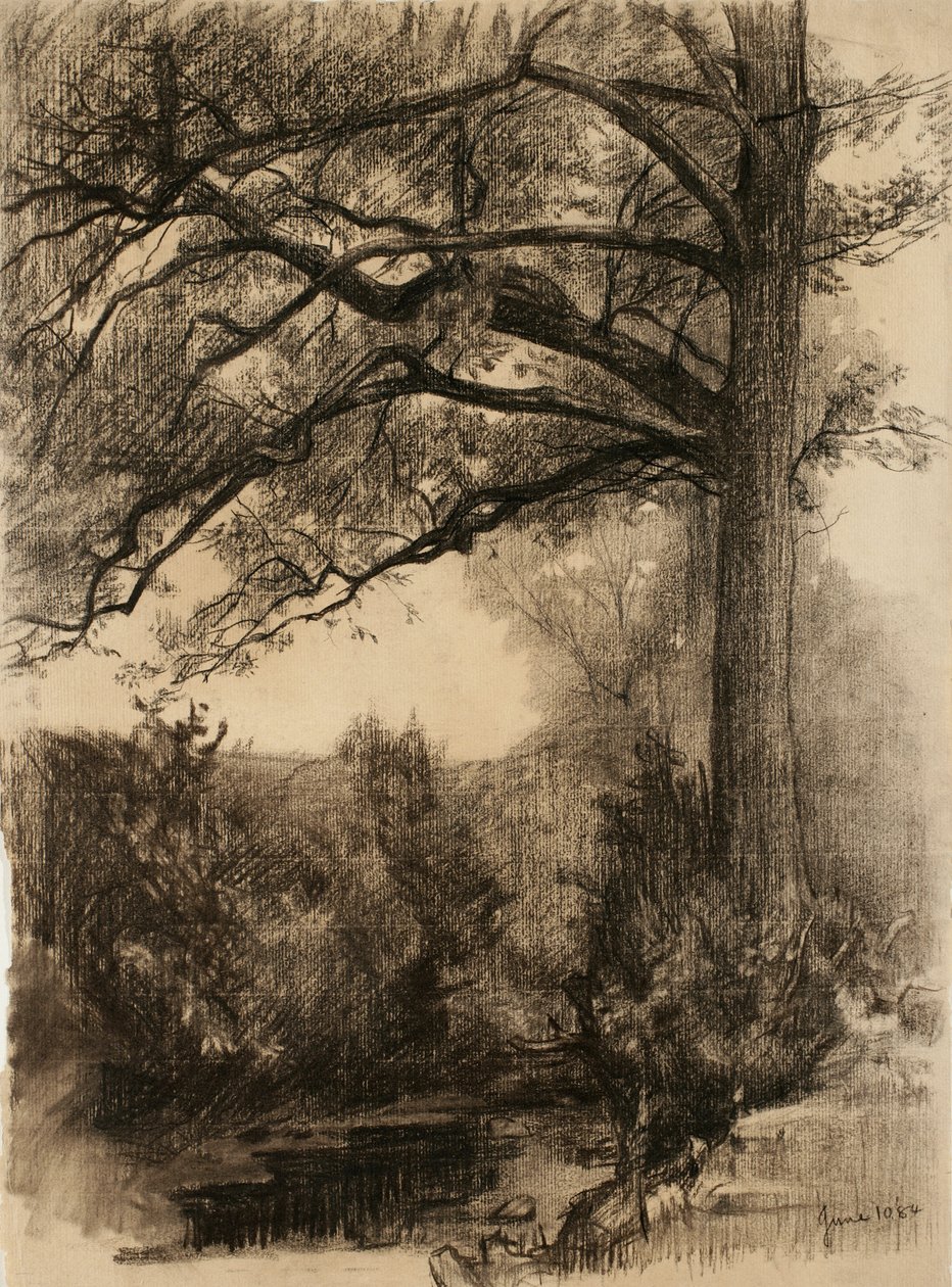 बड़े पेड़ के साथ लैंडस्केप, 1884 (शौकीन कागज पर लकड़ी का कोयला) द्वारा शमूएल ईशम