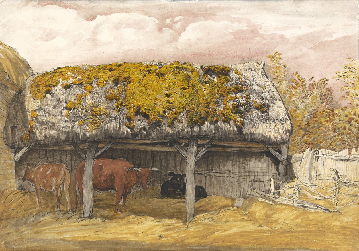 मोसी रूफ के साथ एक गाय लॉज, c.1829 (कागज पर वॉटरकलर और गौचे के साथ कलम और स्याही) द्वारा सैमुअल पामर