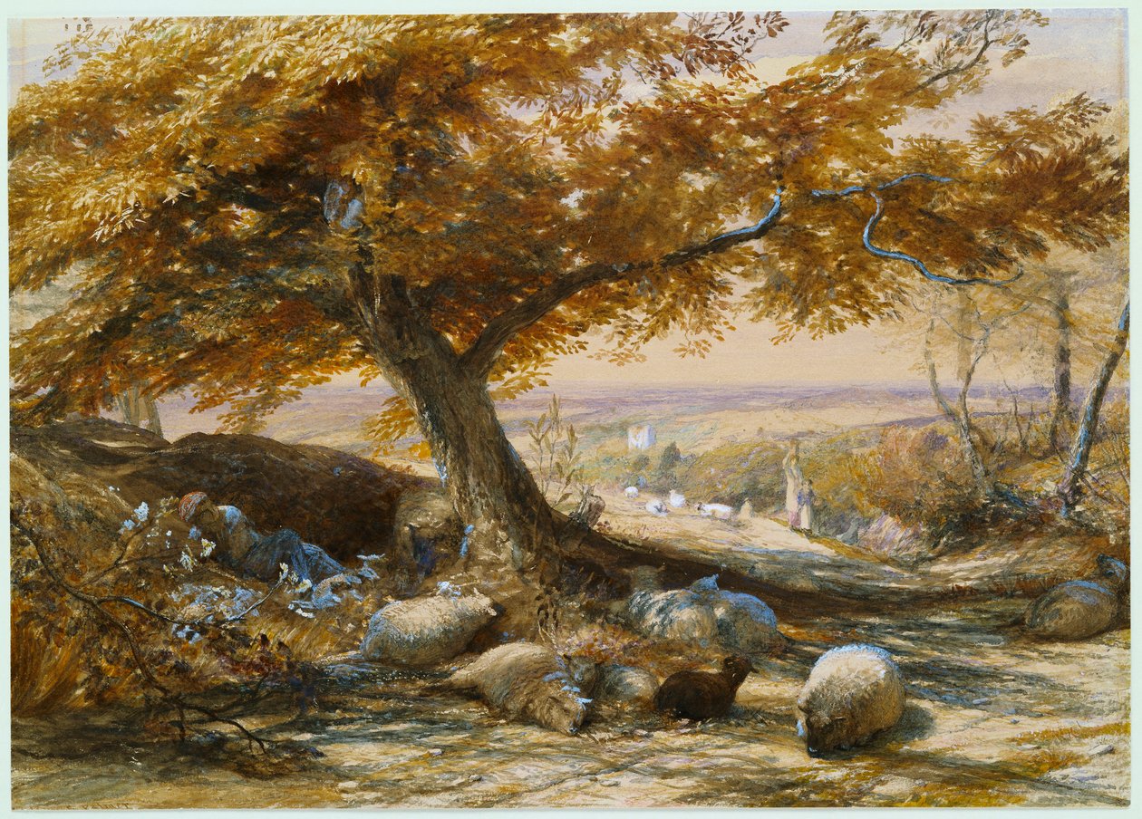 शेड में भेड़, c.1851 द्वारा सैमुअल पामर