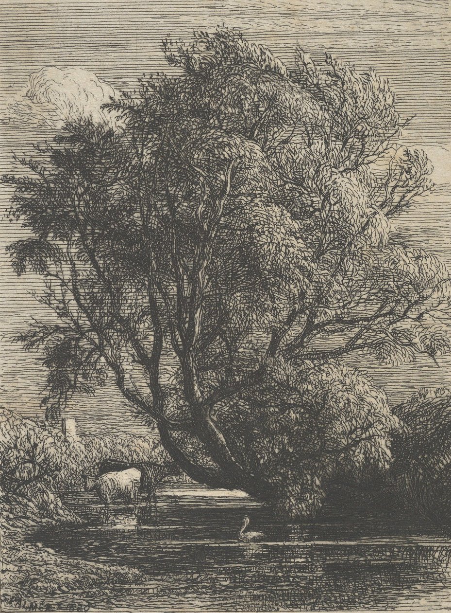 विलो, 1850। द्वारा सैमुअल पामर