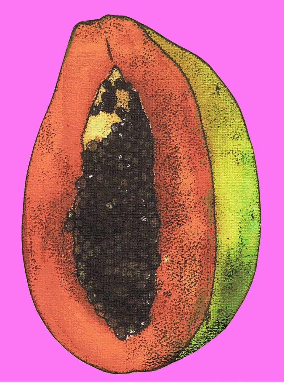 पपीता, 2009 (कागज पर तेल और स्याही) द्वारा सारा थॉम्पसन-एंगेल्स