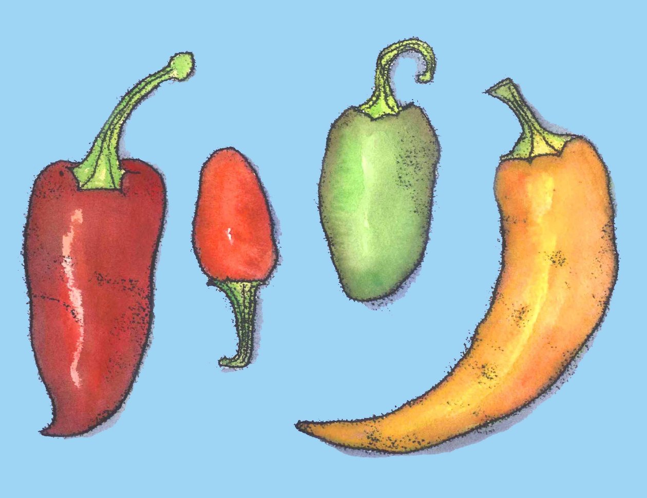 मिर्च मिर्च, 2013, (मोनोप्रिंट) द्वारा सारा थॉम्पसन-एंगेल्स