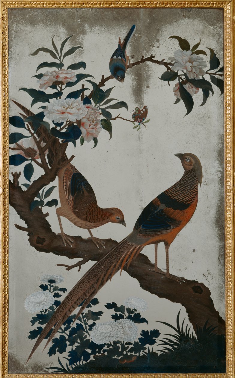  द्वारा स्कूल चीनी